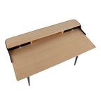 Creggan Mid-Century Modern Black Metal & Wood Office Desk