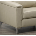 Modern Premium Top Grain Leather Sofa and Chair Set