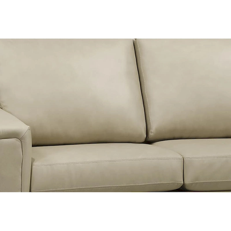 Modern Premium Top Grain Leather Sofa and Chair Set