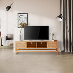 Media Console TV Stand with Storage