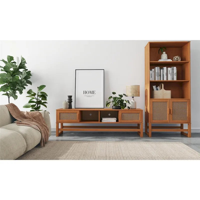 Media Console TV Stand with Storage