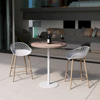 Mid-Century Modern Counter Stool with Steel Legs for Indoors or Outdoors - Set of 2