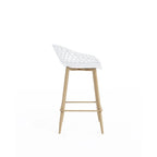 Mid-Century Modern Counter Stool with Steel Legs for Indoors or Outdoors - Set of 2